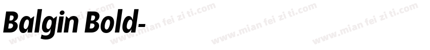 Balgin Bold字体转换